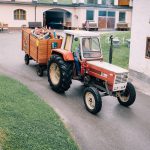 Traktor mit Anhänger voller fröhlicher Kinder auf Bauernhofhofweg