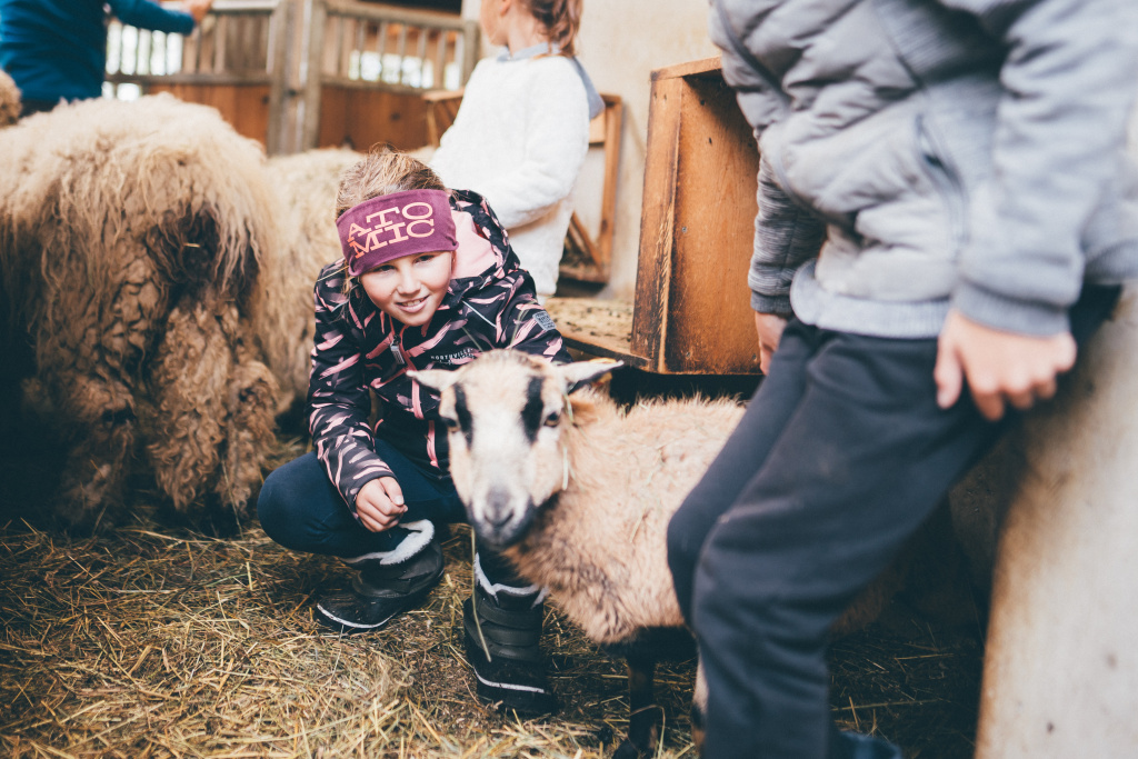 Kind streichelt Schaf im Stall, weitere Kinder und Schafe im Hintergrund