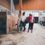Zwei Kinder streicheln ein Pony im Stall auf einem Bauernhof im Salzburger Land